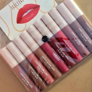 BriBri 10 Pcs Matte Lipstick Set!